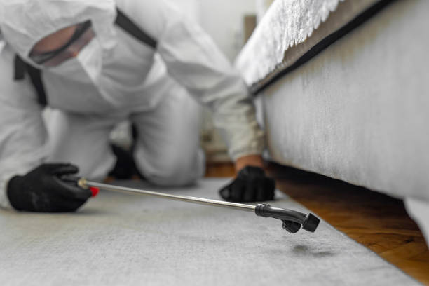 Professional Termite Control technician working in Colby, KS