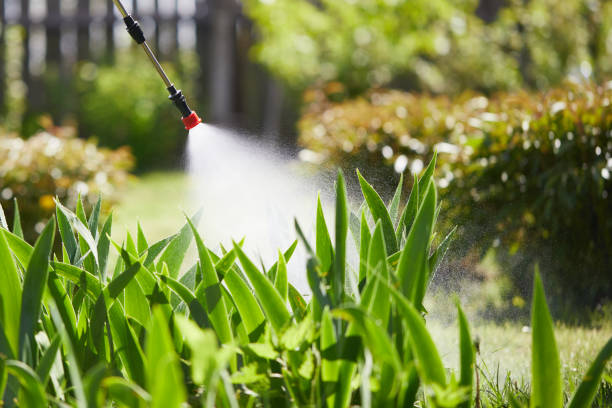 24/7 Emergency Termite Control experts in Colby, KS